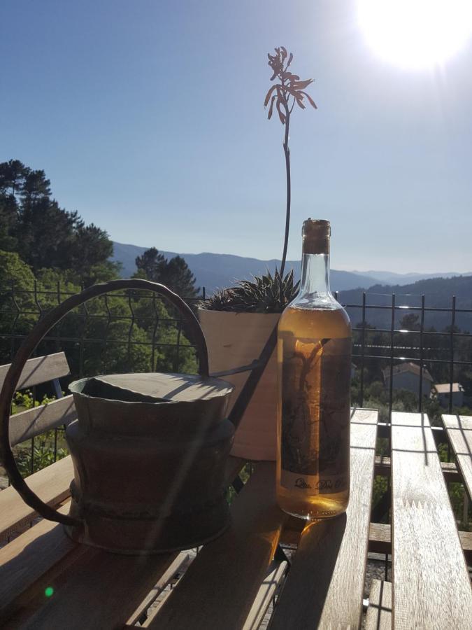 Chalet Por Do Sol Castro Daire Buitenkant foto